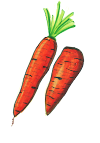 Mrkev samolepka